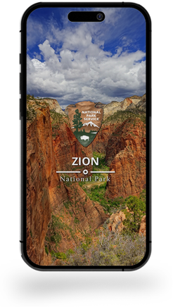 Fireplace Control App