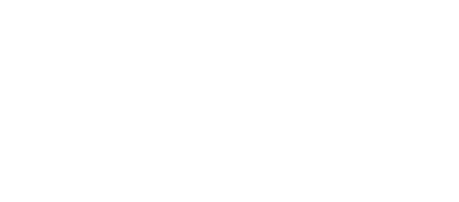 Certified woman-owned software consulting company